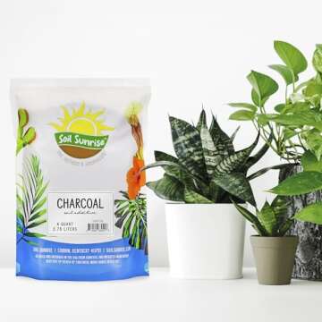 Horticultural Charcoal for Indoor Plants (4 Quarts), Hardwood Soil Additive for Orchids, Terrariums,...