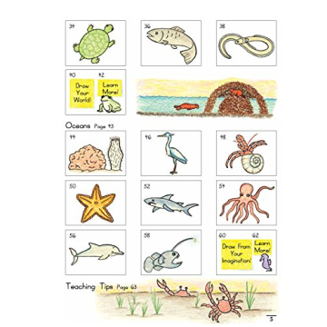 Discover Draw Write Now Book 6: Animals and Habitats