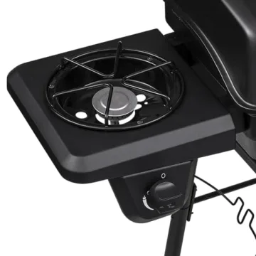 Charbroil Classic 2-Burner Propane Grill with Side Burner