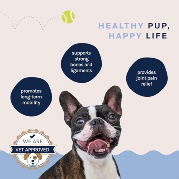 Good Trouble Pets Hip & Joint Supplement for Dogs