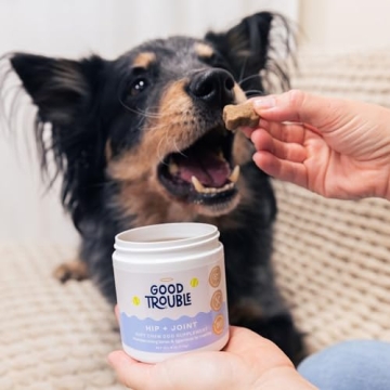 Good Trouble Pets Hip & Joint Supplement for Dogs