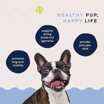 Good Trouble Pets Hip & Joint Supplement for Dogs