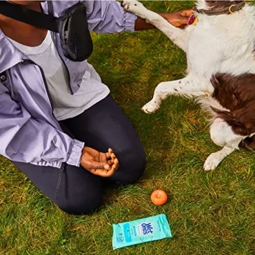 Wet Ones Sensitive Skin Hand Wipes | Travel Pack 20 ct