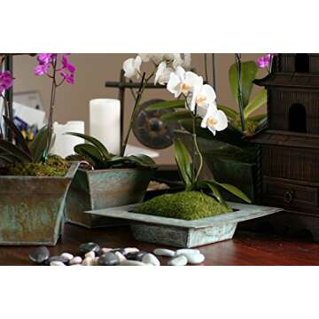 SuperMoss (21580) Sheet Moss Dried, Natural, 2 Ounce