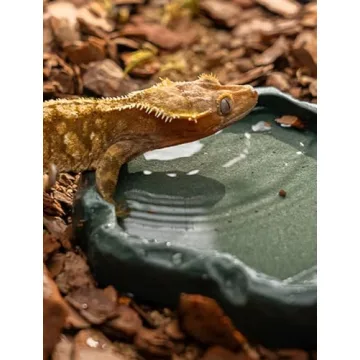 Imitation Rock Design Reptile Water Dish for Small Pets