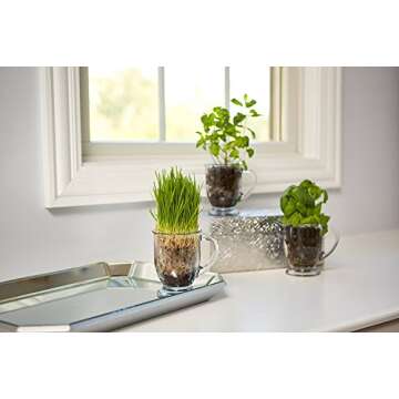 Anchor Hocking 16 oz Cafe Mug Set of 4 - Durable Glass