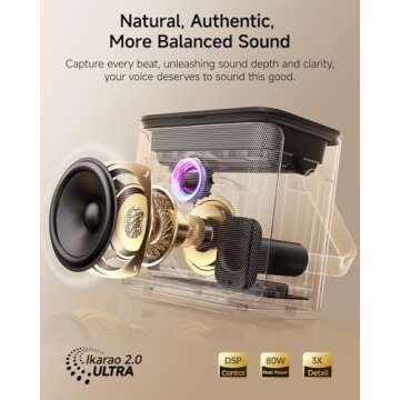 Ikarao Karaoke Machine with Lyrics Display & 2 Mics