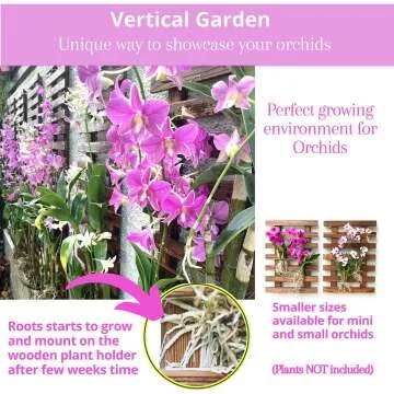 ShopLaLa Wall Planters - 2 Pack for Vertical Gardens