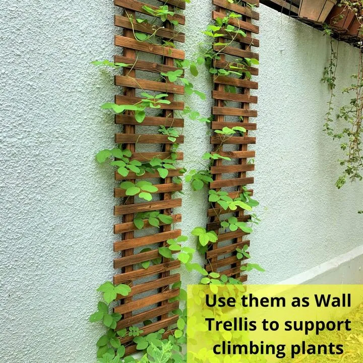 ShopLaLa Wall Planters - 2 Pack for Vertical Gardens