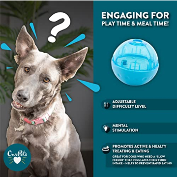 Our Pets Smarter Toys IQ Treat Ball for Dogs - 4"