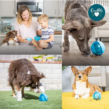 Our Pets Smarter Toys IQ Treat Ball for Dogs - 4"