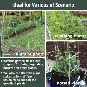 50Pcs Bamboo Plant Stakes for Indoor Outdoor Plants, 0.32''-0.4''/18 Inch Bamboo Sticks Garden Support Stakes Bamboo Poles Trellis for Tomato Vegetables Beans Trees Potted Climbing Plants