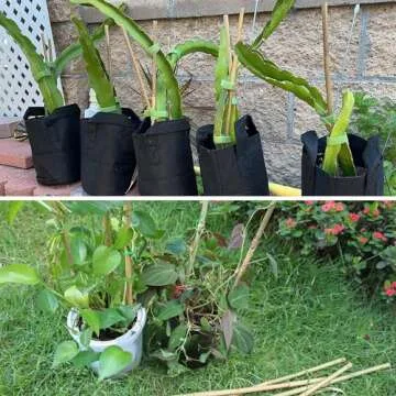 50Pcs Bamboo Plant Stakes for Indoor Outdoor Plants, 0.32''-0.4''/18 Inch Bamboo Sticks Garden Support Stakes Bamboo Poles Trellis for Tomato Vegetables Beans Trees Potted Climbing Plants