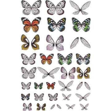 Tim Holtz Transparent Wings and Things Craft Bundle