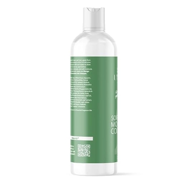 INAHSI Soothing Mint Conditioner for All Hair Types 12 oz