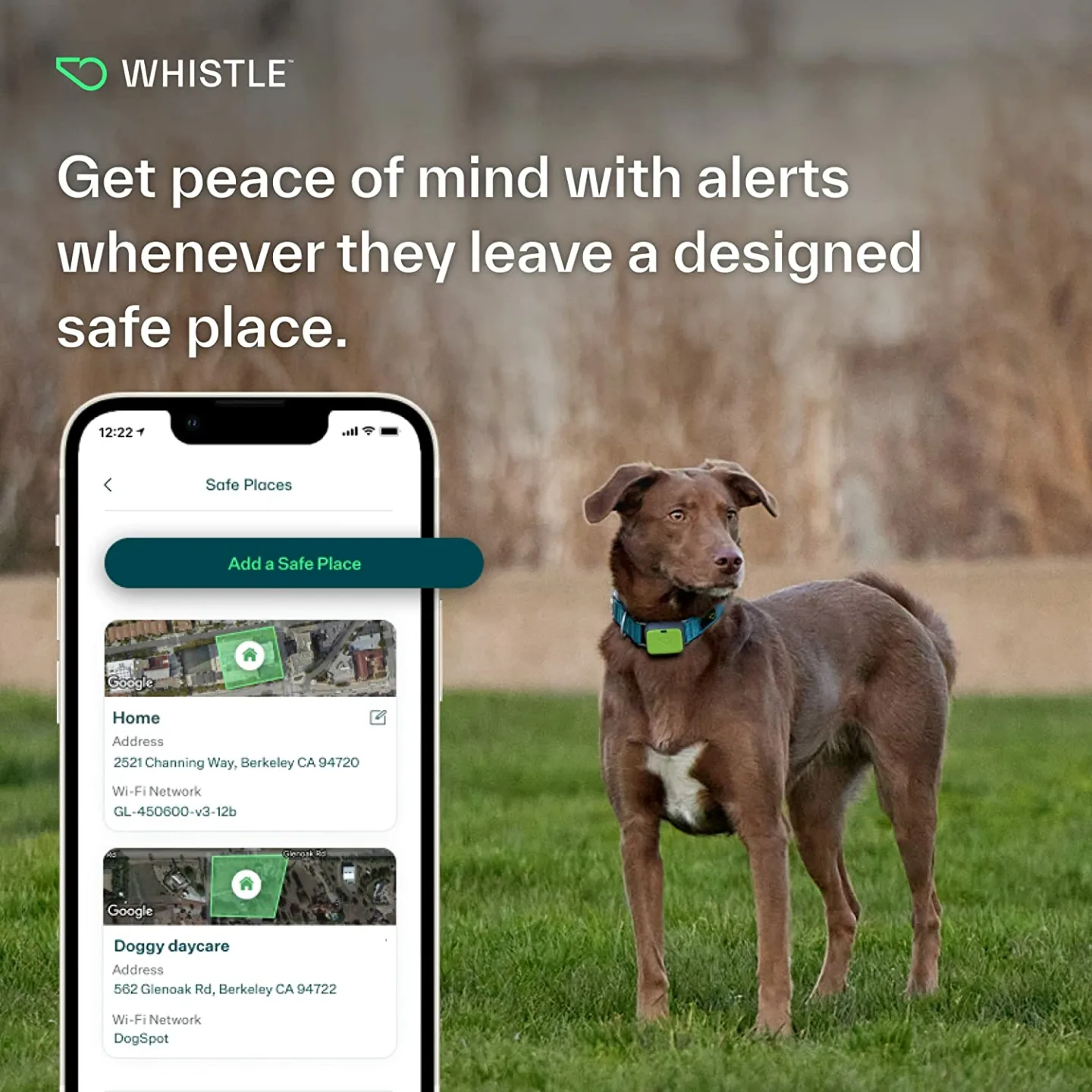 Whistle GO Explore: GPS Dog Tracker & Fitness Monitor