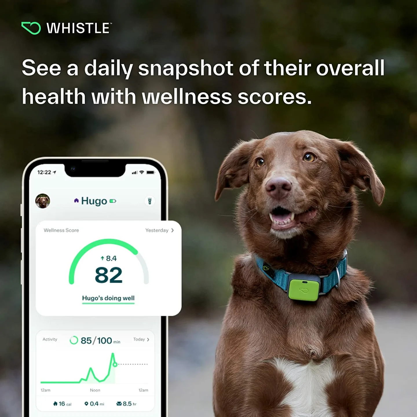 Whistle GO Explore: GPS Dog Tracker & Fitness Monitor