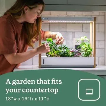 Rise Gardens Hydroponic Indoor Garden Kit with LED Light