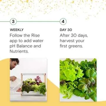 Rise Gardens Hydroponic Indoor Garden Kit with LED Light