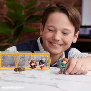 Wizarding World Harry Potter, Micro Magical Moments Scene Gift Set with Exclusive Harry, Hermione, Ron, Fluffy Action Figures & Case, Kids Toys