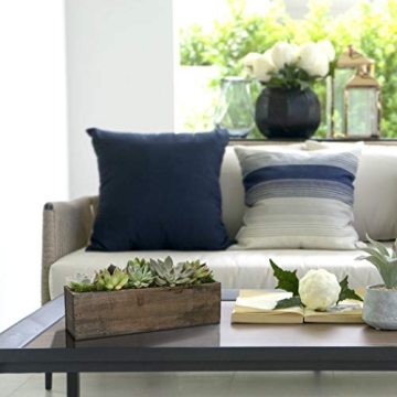 Stunning Hallmark Succulent Garden in 10-Inch Planter