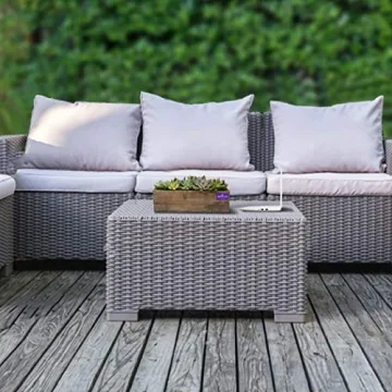 Stunning Hallmark Succulent Garden in 10-Inch Planter