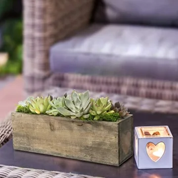 Stunning Hallmark Succulent Garden in 10-Inch Planter