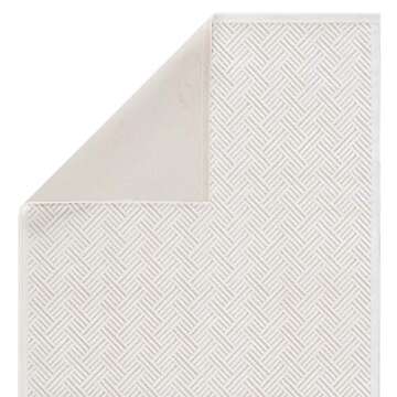 Jaipur Living Soft 9x12 Large Area Rug in White/Natural