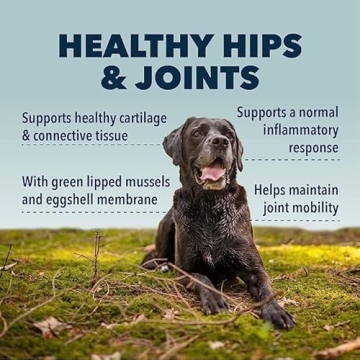 Four Leaf Rover Hip & Joint Supplement for Senior Dogs