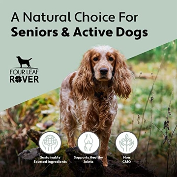 Four Leaf Rover Hip & Joint Supplement for Senior Dogs