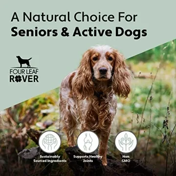 Four Leaf Rover Hip & Joint Supplement for Senior Dogs