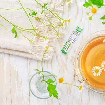 Boiron AllergyCalm Kids - Effective Allergy Relief Pellets