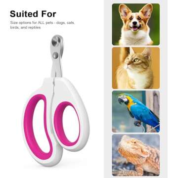 Cat Nail Clippers for Small Pets - Safe & Easy Trimmers