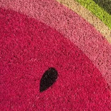 Colorful Watermelon Coir Doormat for Entrances