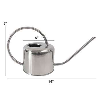 HENSITA Silver Stainless Steel Mini Watering Can for Indoor/Outdoor Plants, Perfect for Succulents, ...