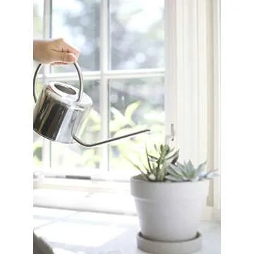 HENSITA Stainless Steel Mini Watering Can for Plants