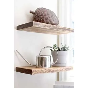 HENSITA Stainless Steel Mini Watering Can for Plants