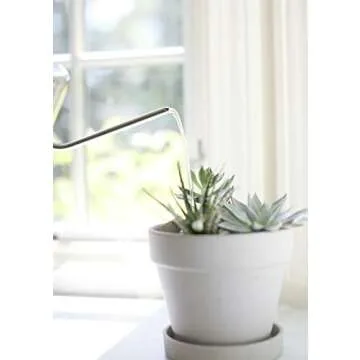 HENSITA Stainless Steel Mini Watering Can for Plants