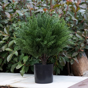 Weitaisi 17" Artificial Cedar Topiary - UV-Proof Outdoor Shrub