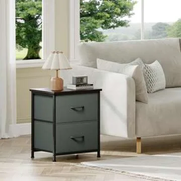 Somdot Nightstand Set of 2, Small Dresser for Bedroom with 2 Drawers, Bedside Table Night Stand End Table with Fabric Bins for Bedroom Kids Closet Dorm Guest Room, Charcoal Grey