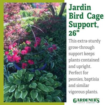 Gardener's Supply Company Jardin Bird Cage Plant Support | Large Sturdy Grow-Through Steel Flower Trellis and Garden Decor | Best to Support Peonies, Baptisia, Sedum & Other Perennials - 26" H