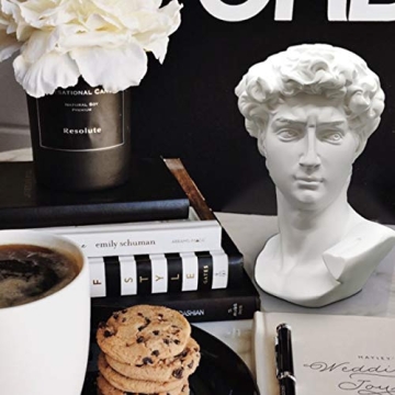 Elegant Greek Statue of David Bust for Home Decor