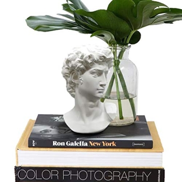 Elegant Greek Statue of David Bust for Home Decor