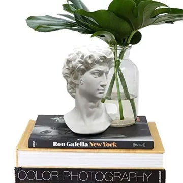 Elegant Greek Statue of David Bust for Home Decor