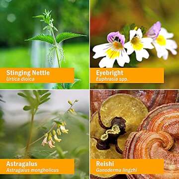 Herb Pharm Kids Certified- Alcohol-Free Sinus Samurai Liquid Herbal Formula, Organic, 1 Fl Oz