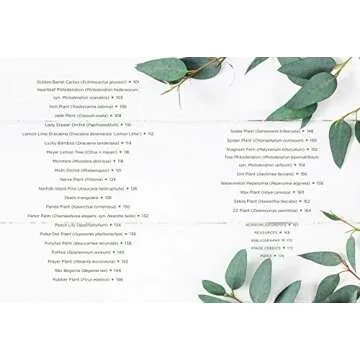 How to Houseplant: A Beginner’s Guide to Making and Keeping Plant Friends