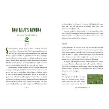 How to Houseplant: A Beginner’s Guide to Making and Keeping Plant Friends