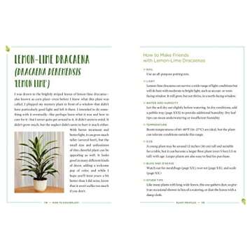 How to Houseplant: A Beginner’s Guide to Making and Keeping Plant Friends