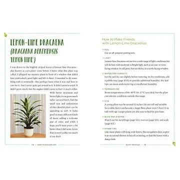 How to Houseplant: A Beginner’s Guide to Making and Keeping Plant Friends