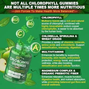 Chlorophyll Gummies, 18-IN-1 with Organic Chlorella Spirulina, Wheat Grass, Magnesium, Prebiotic Fiber for Internal Deodorant, Comfort Digestion, Metabolism & Immune Support, Fresh Body Odor, 2Packs